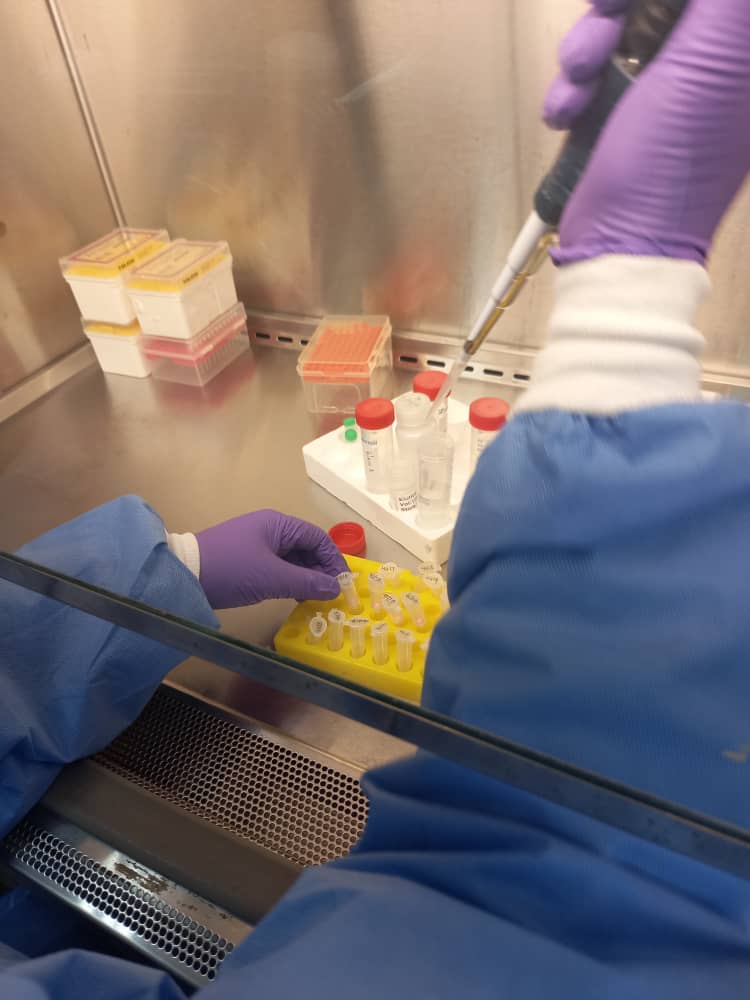 Emerging Infectious Diseases Surveillance 8 IMG 20220520 WA0012